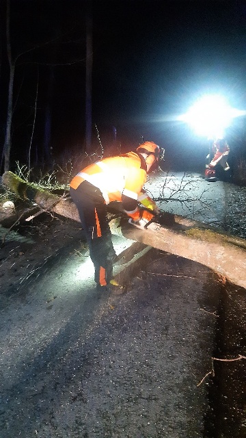 20230311_044827_resized groß.jpg